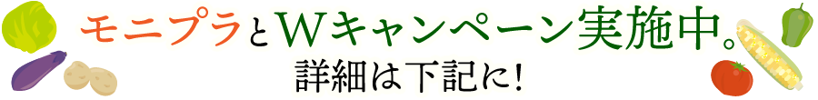 モニプラとＷキャンペーン実施中。詳細は下記に！